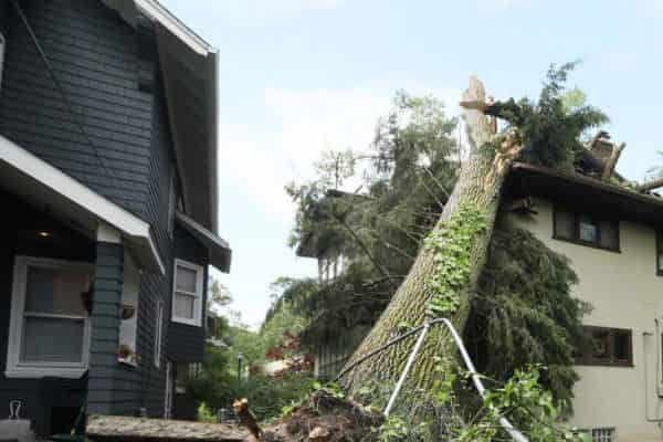 storm damage restoration & roofing contractors
